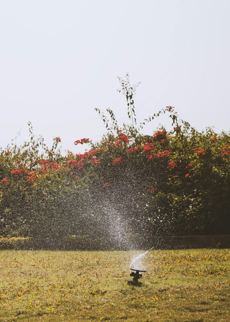 Understanding Irrigation Valves: A Comprehensive Guide for Efficient Garden Watering