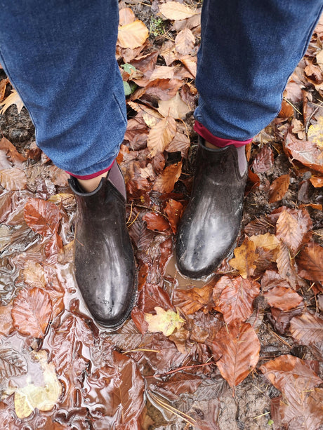 The Smart Gardener’s Secret: Why Rain Sensors Are a Fall Essential