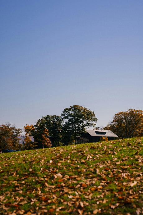 Fall Overseeding Success: How to Use Your Irrigation System for Lush New Grass