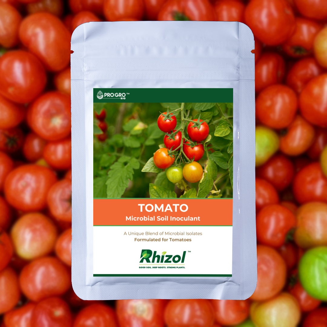 Tomato Rhizopro