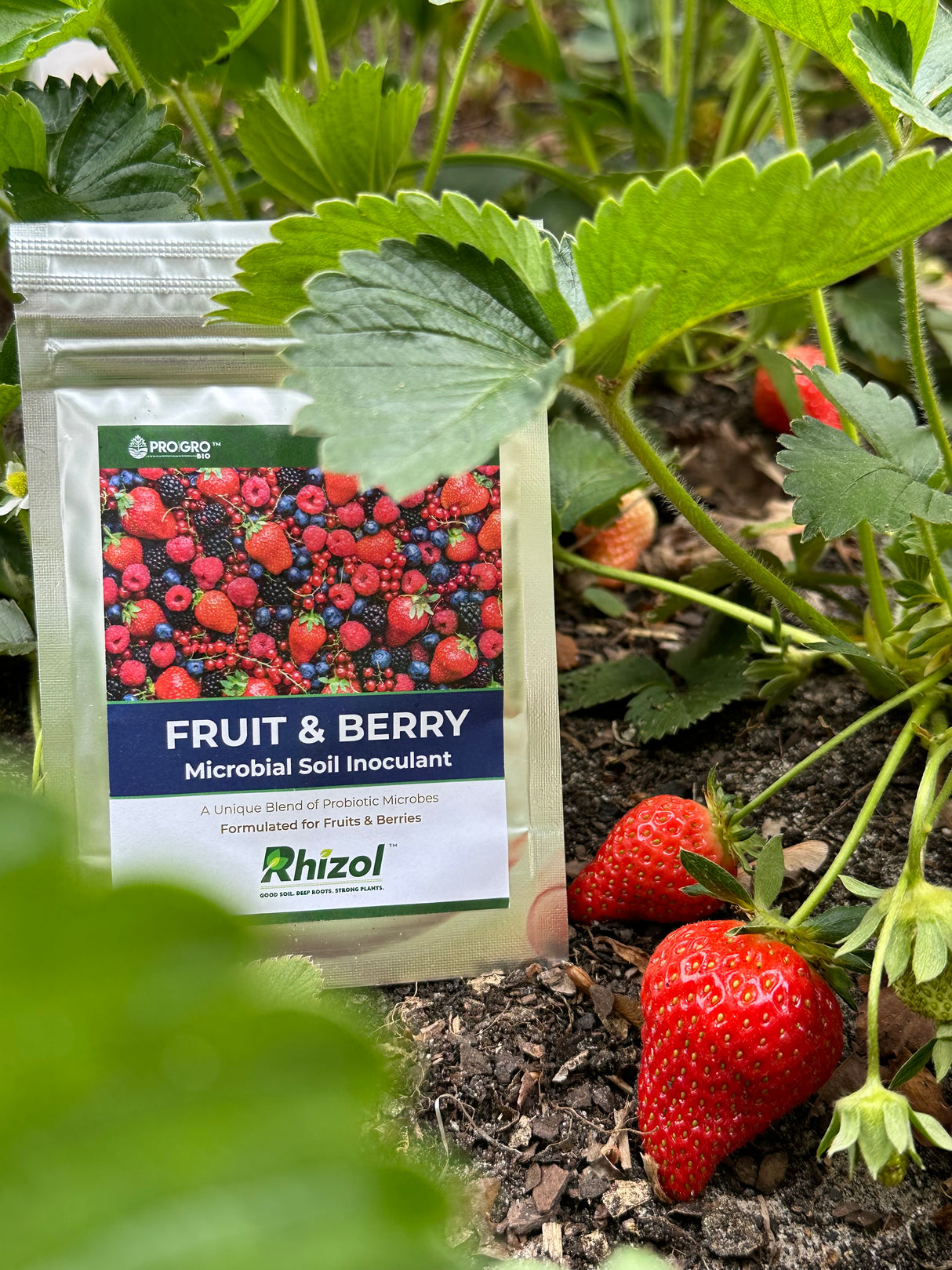 Fruit & Berry Rhizopro