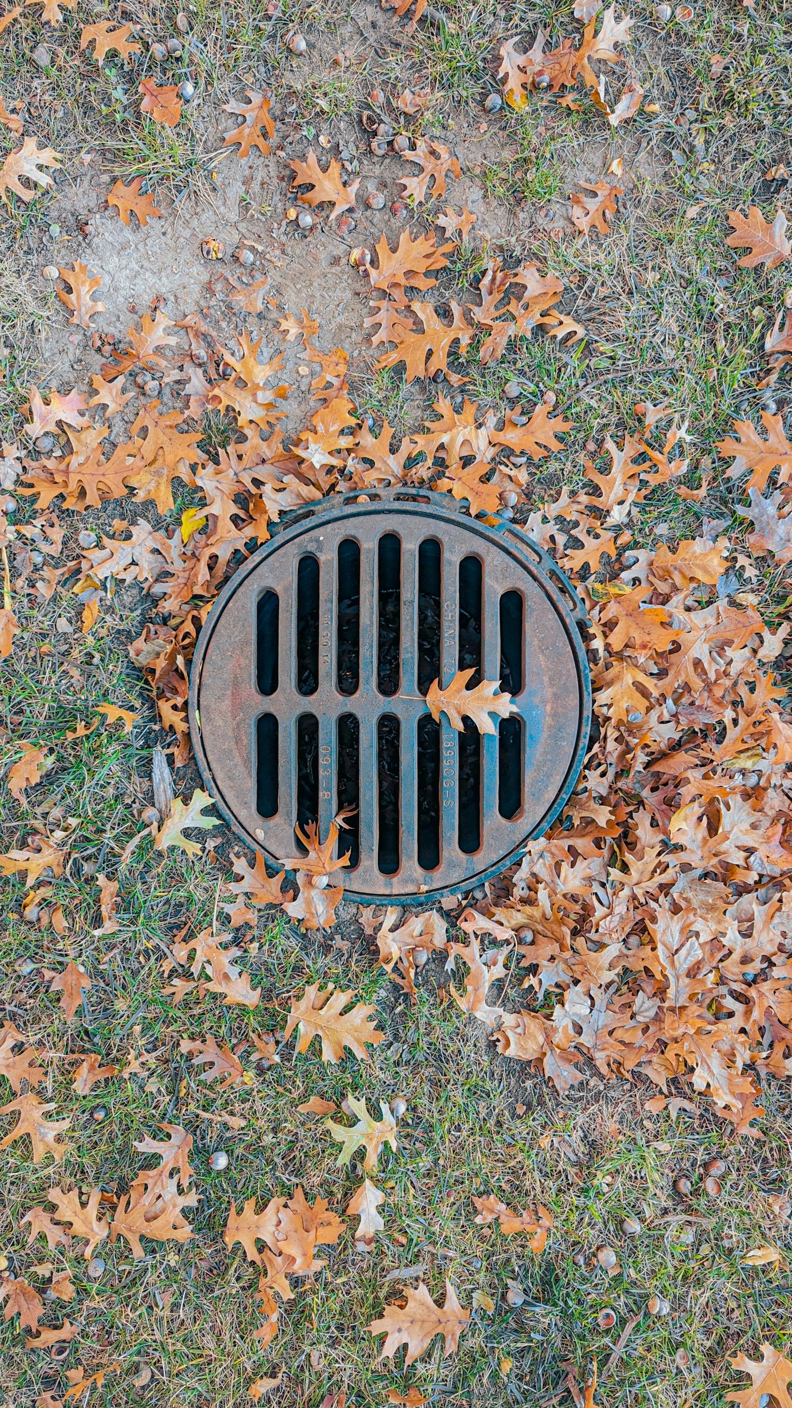 Fall Drainage Solutions: Protect Your Garden from Seasonal Showers