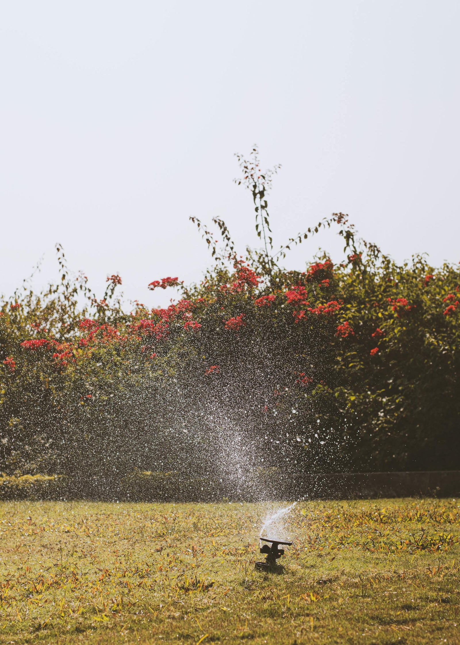 Understanding Irrigation Valves: A Comprehensive Guide for Efficient Garden Watering