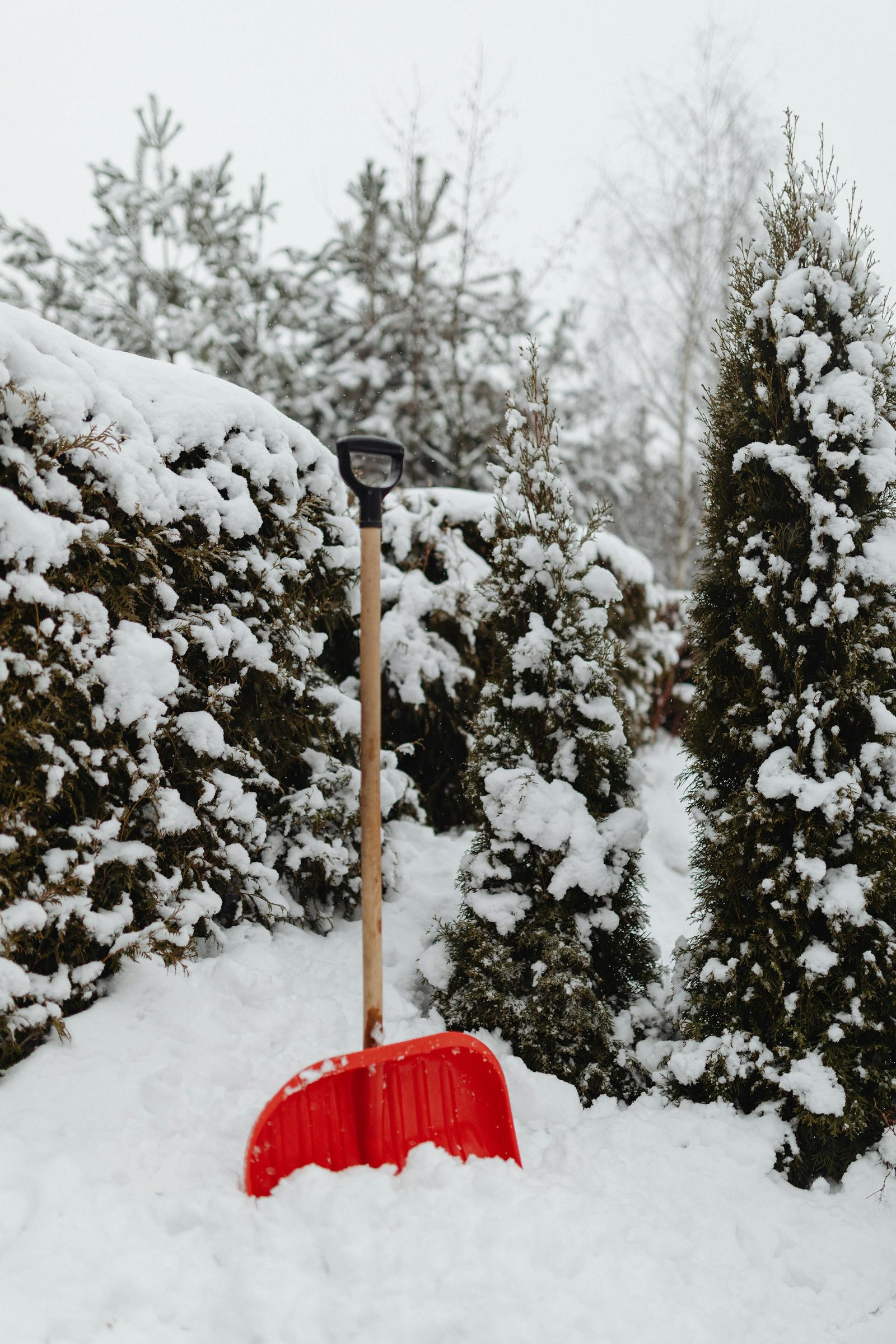 Winter Garden Prep: Get Your Tools, Beds, and Compost Ready for Spring