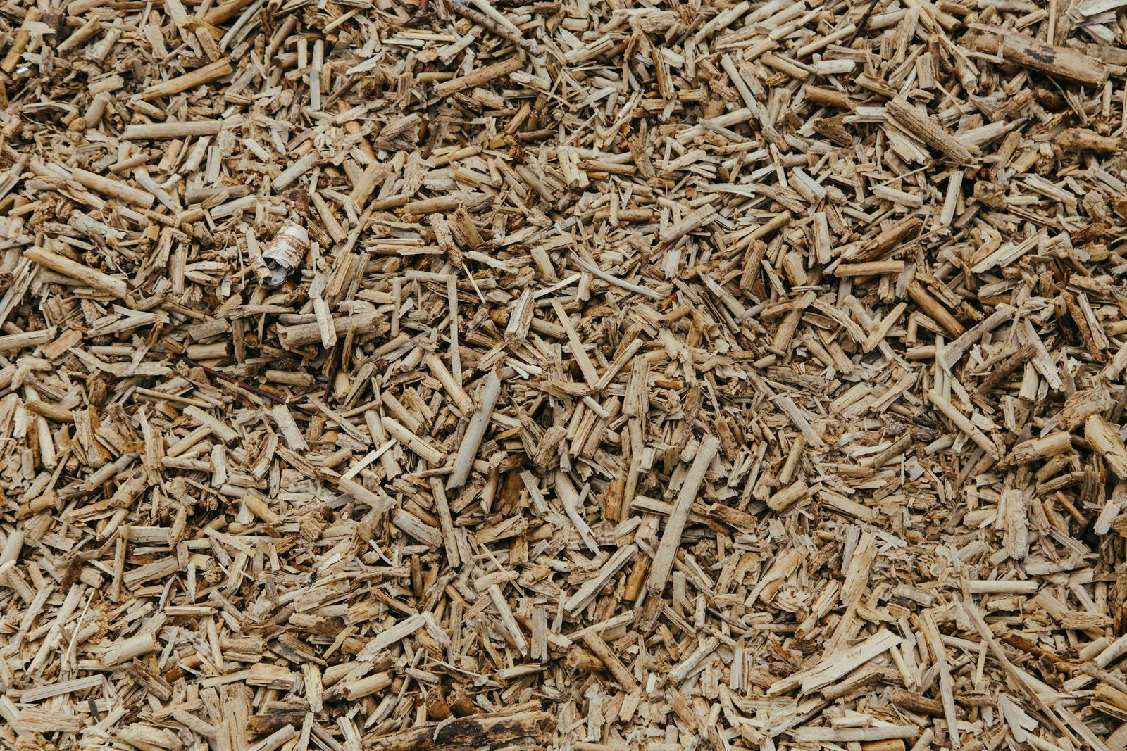 The Benefits of Mulching in Late Fall