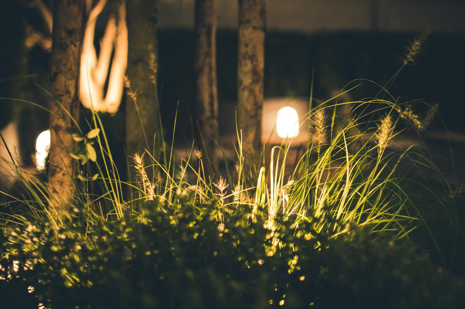 Illuminating Your Summer Nights: Benefits of Adding Lighting to Your Yard and Garden